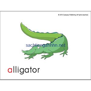 Sounds Great 1 Flash Cards