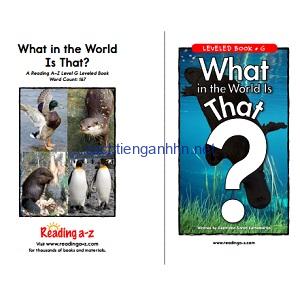 Reading A-Z Level G- What in the World Is That