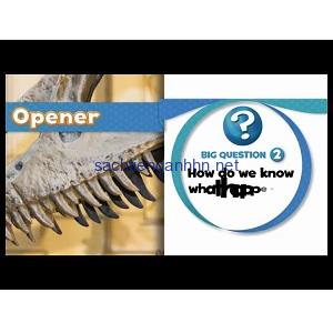 Oxford Discover 4 Big Question DVD Video