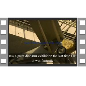 Speak Now 1 Unit 8 Lesson 29 - 32 Video