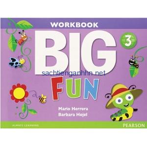 Big Fun 3 Workbook