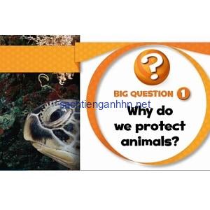 Oxford Discover 5 Wrap Up Video DVD