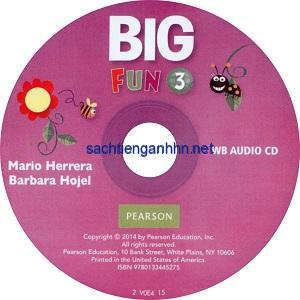 Big Fun 3 Workbook Audio CD